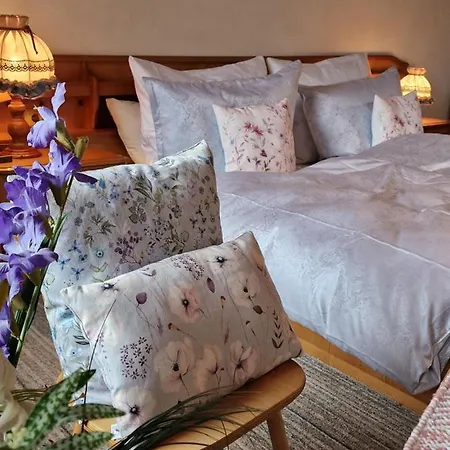 Maximilians' Hoh' Im Zillertal Gasthof